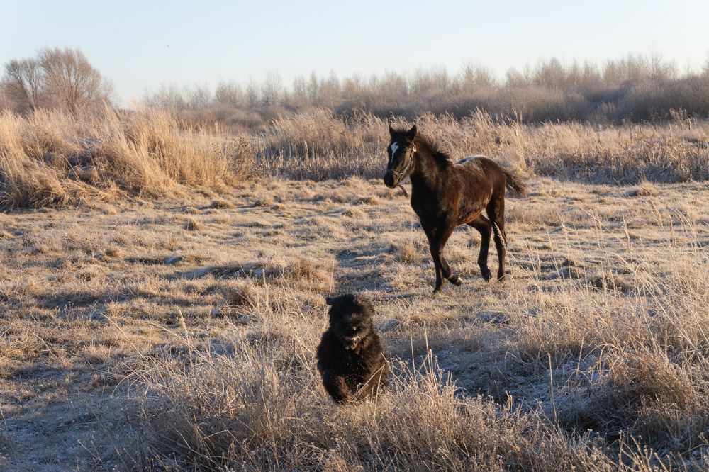 Photograph by Рашель Анурова