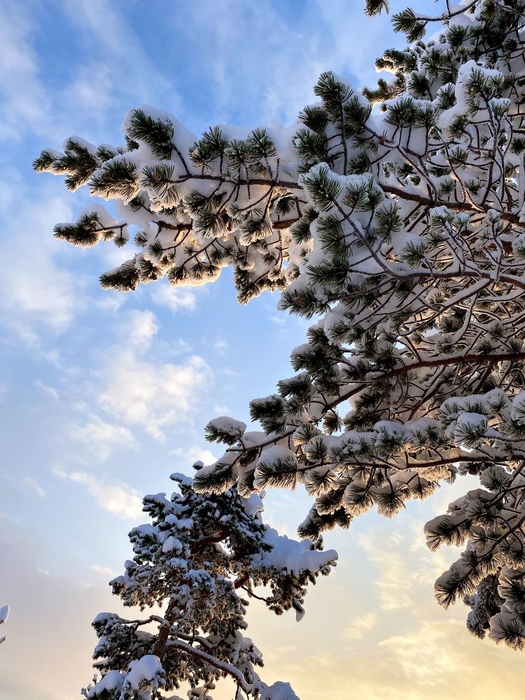 Photograph by Наталья Могилевская