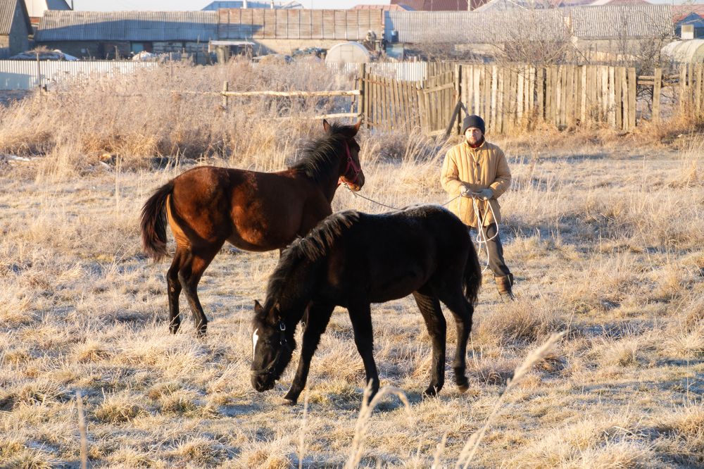 Photograph by Рашель Анурова