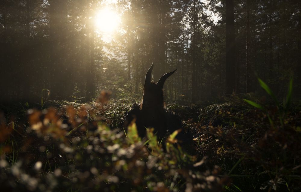 Photograph by Павел Татаринов