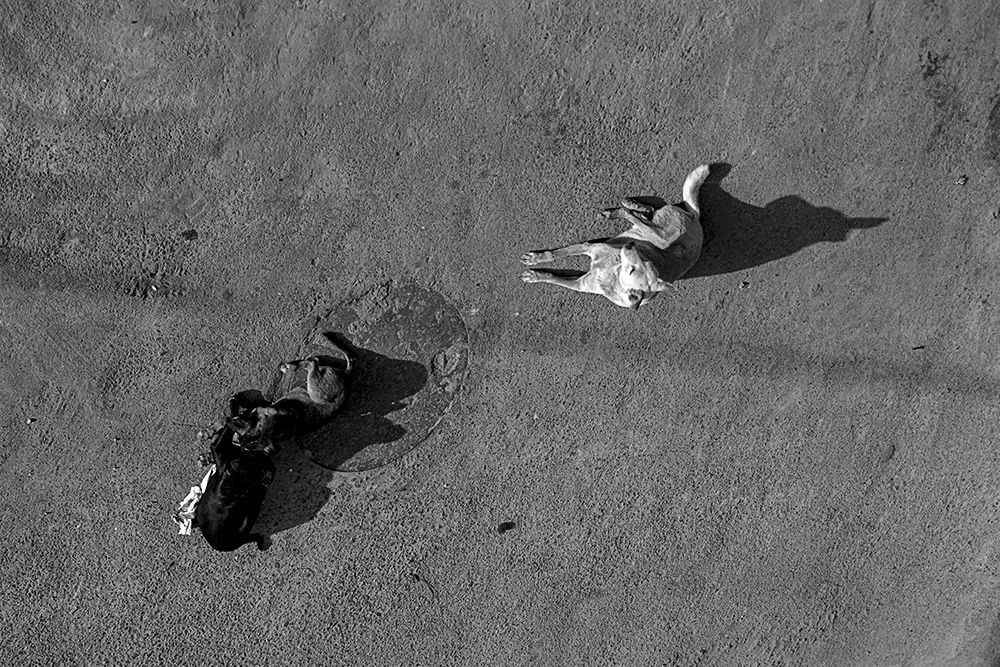 Photograph by Geeta Maurya