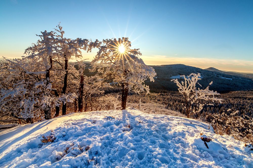 Photograph by Petr Musil