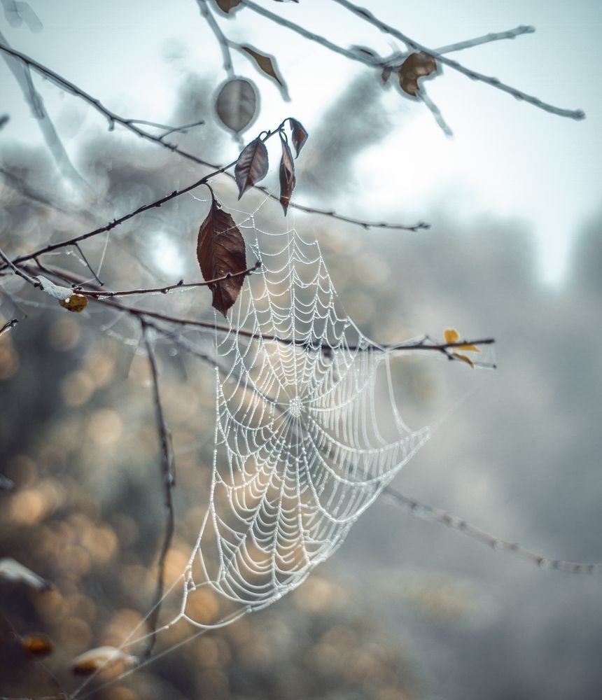 Фотография автора Евгений Вагуро