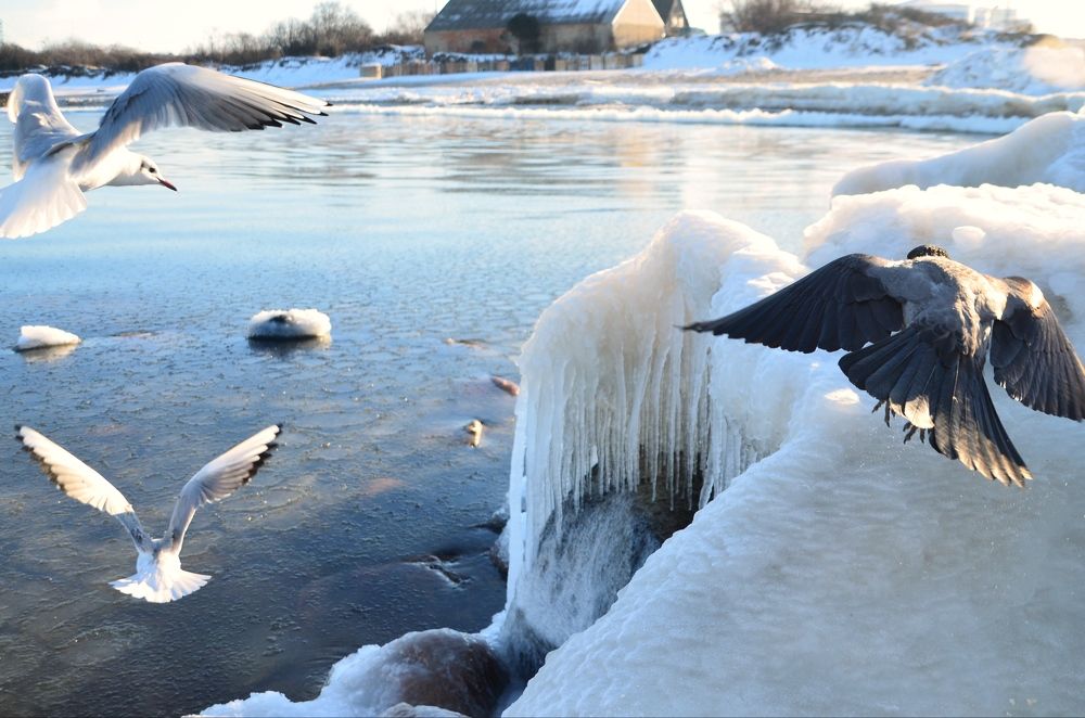 Photograph by Galina Baranovskaja