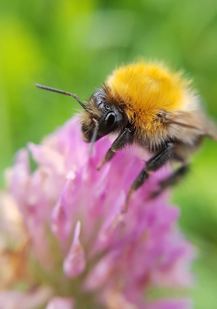 Photograph by Татьяна Пименкова