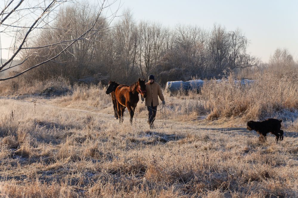 Photograph by Рашель Анурова