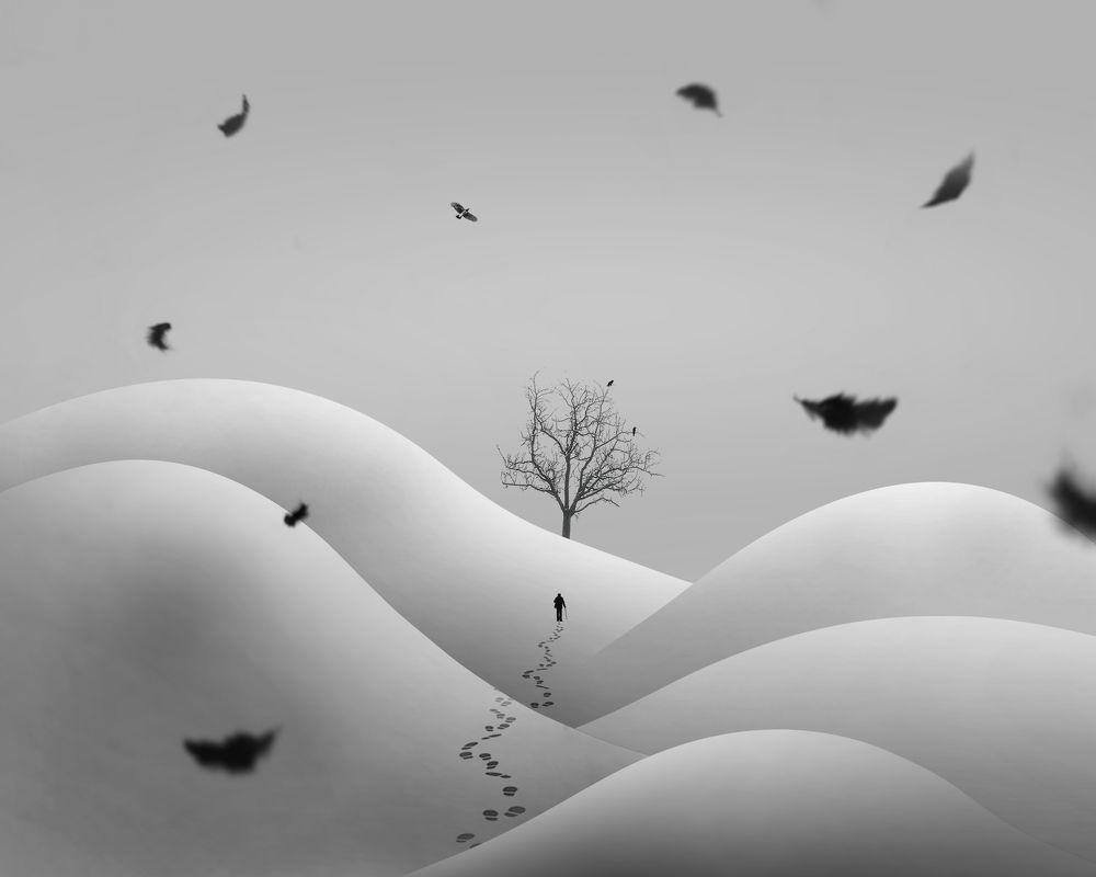 Фотография автора mehrdad Alizadeh