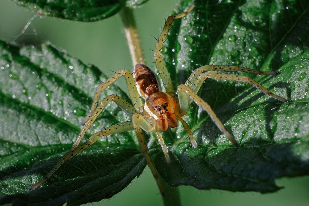 Photograph by Лапенкова Ольга
