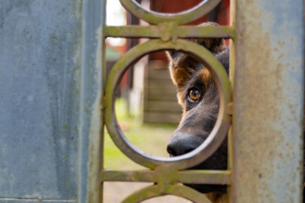 Photograph by Лапенкова Ольга
