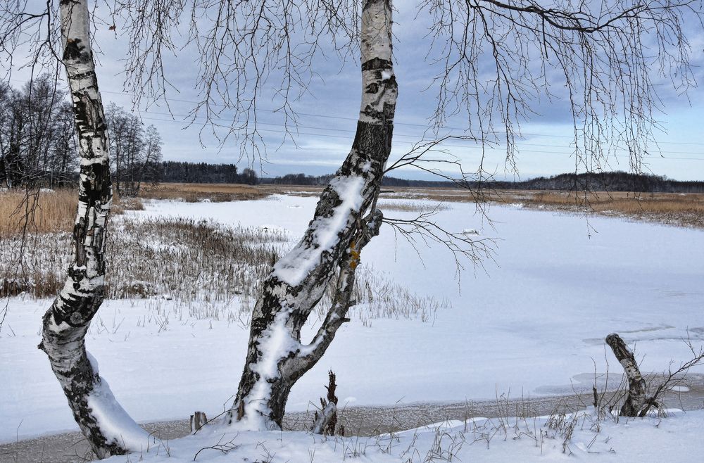 Photograph by Надежда Буаллаг