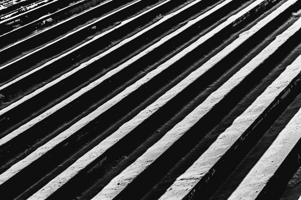 Photograph by Сергей Андрейчук