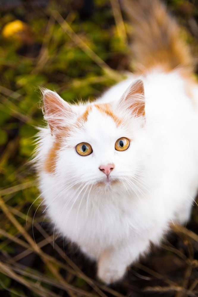 Photograph by Лапенкова Ольга