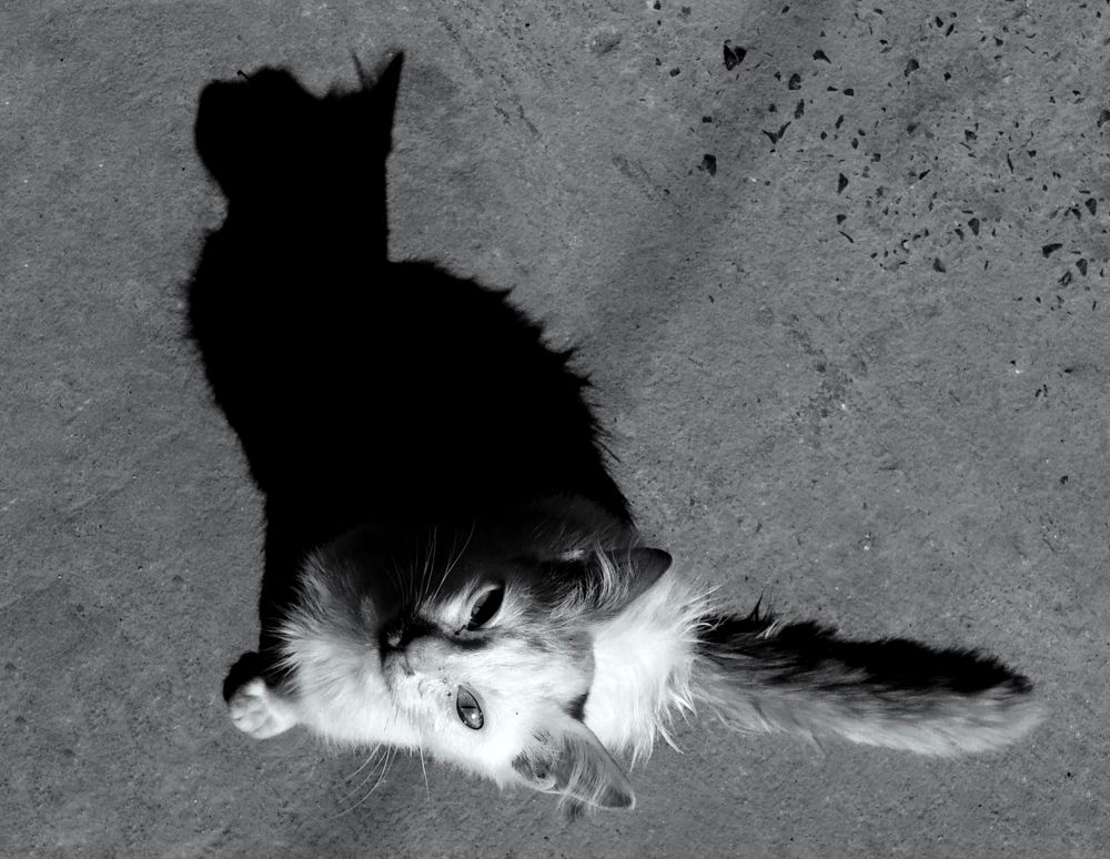 Photograph by Soukhik Sarkar