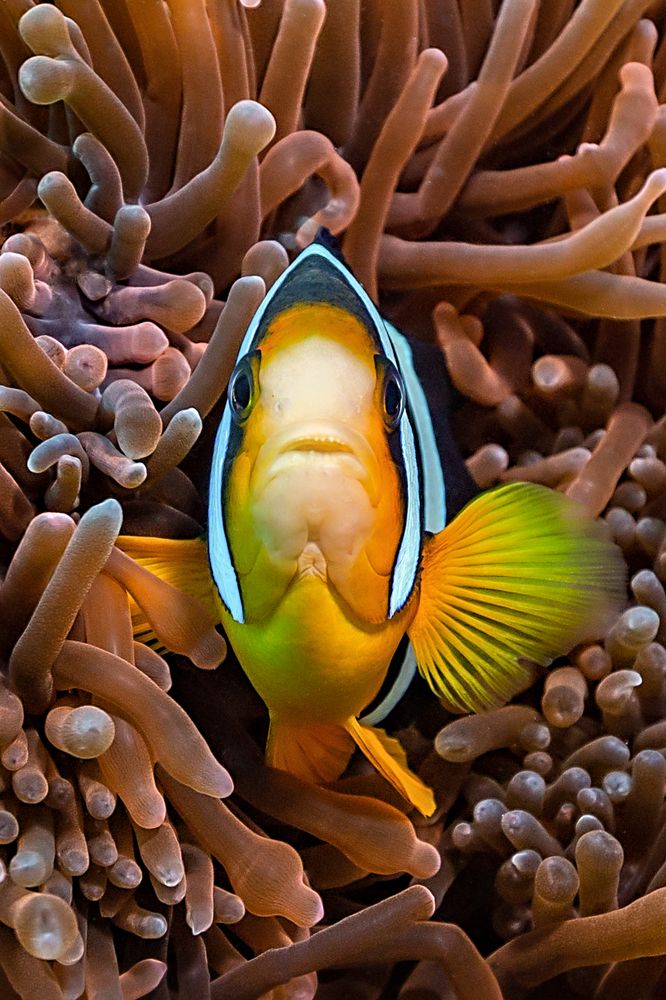 Photograph by Тетяна Тарасенко