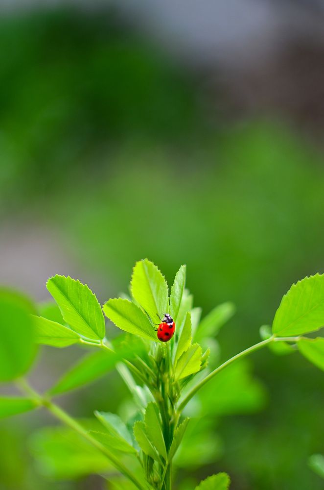 Photograph by Ольга Мукина