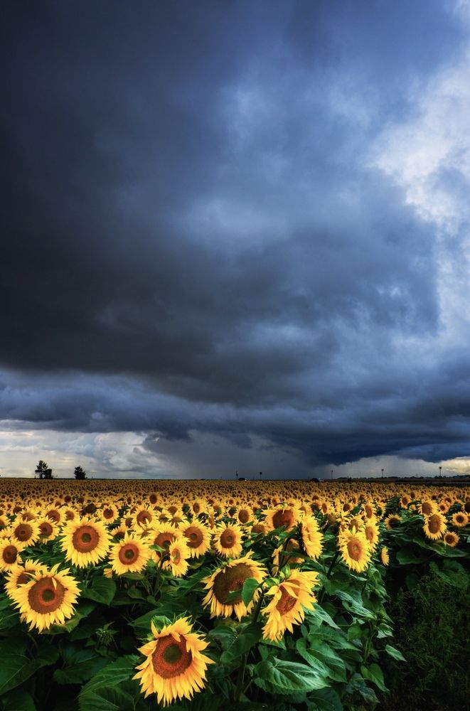 Photograph by Ольга Мукина