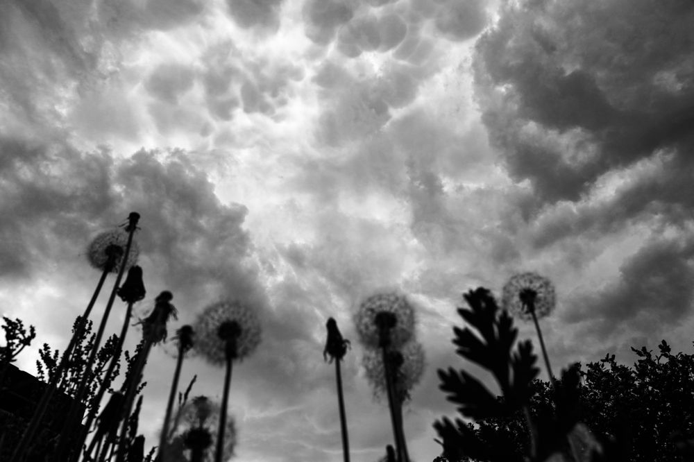 Photograph by Захар Шадрин