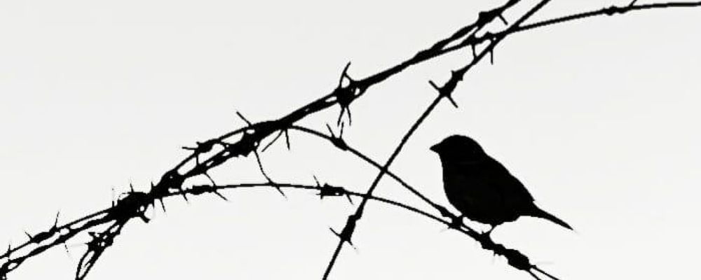 Photograph by Ghazal Ardeshirzadeh