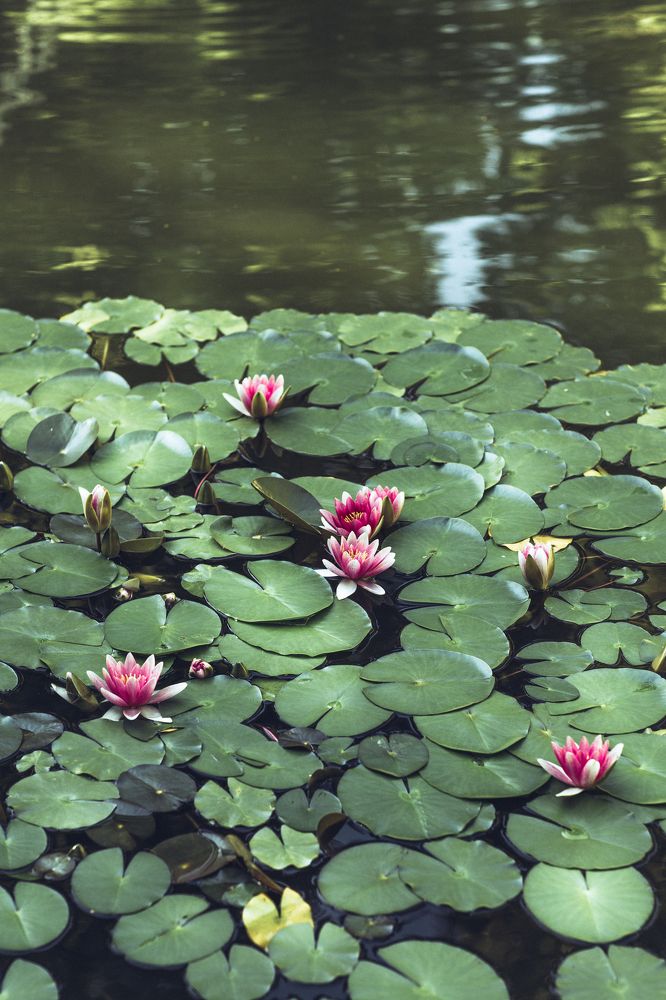 Photograph by Irina Moser