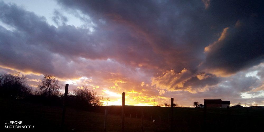 Photograph by Marijana Dragosavljevic