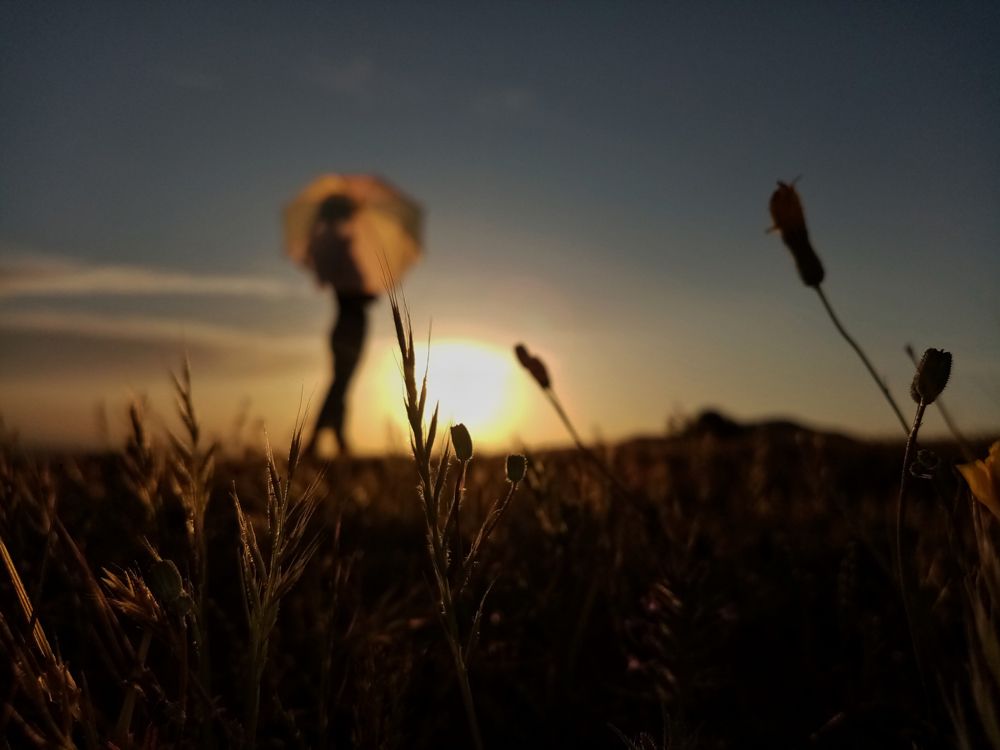 Photograph by niloufar kiyani movahhed