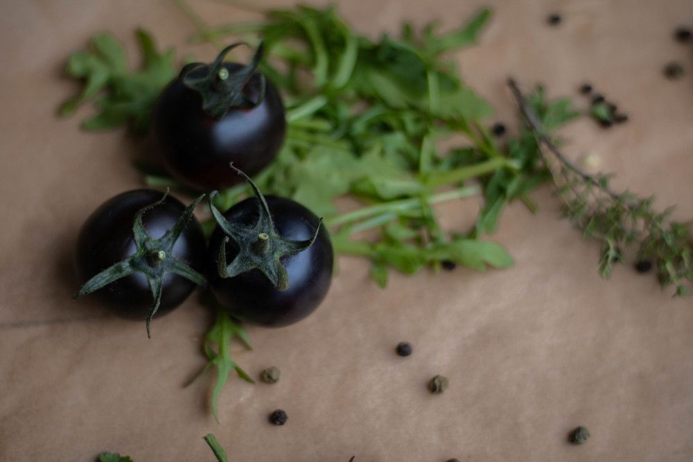 Photograph by Svitlana Valtser