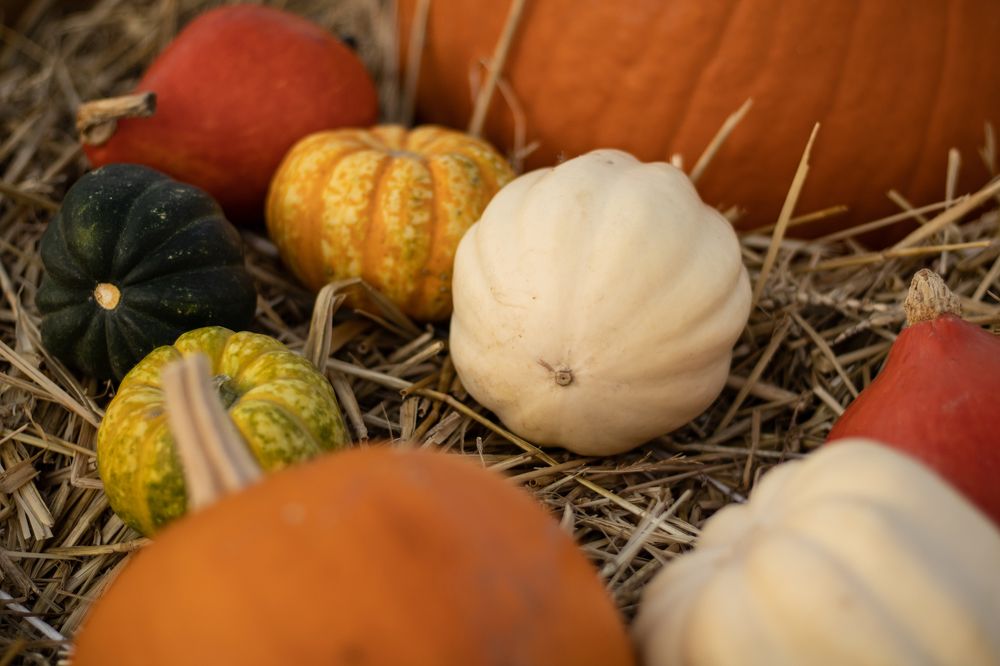 Photograph by Svitlana Valtser