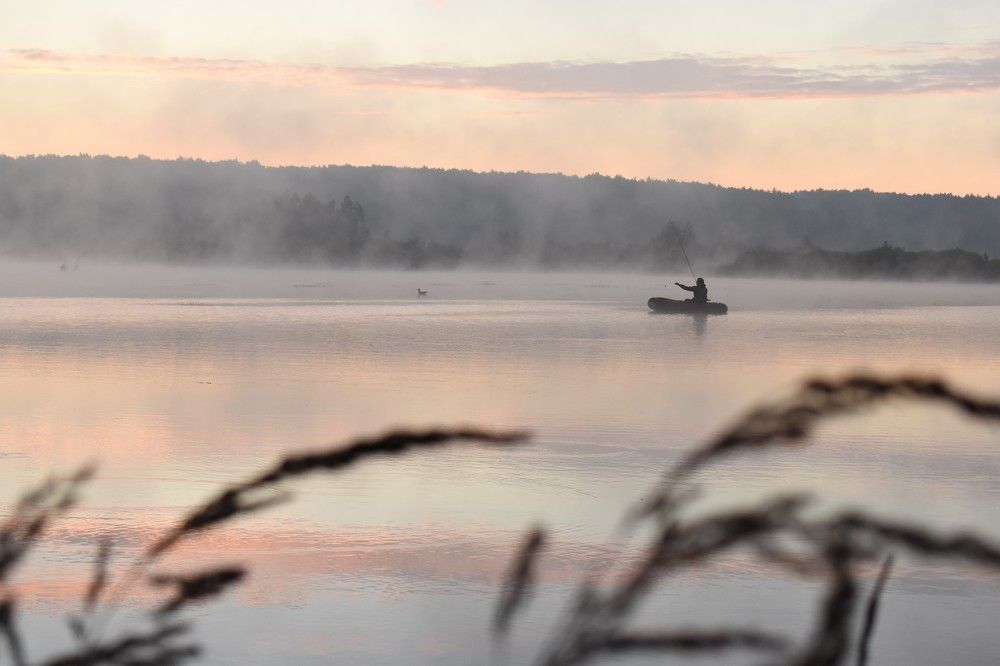 Photograph by Зоя