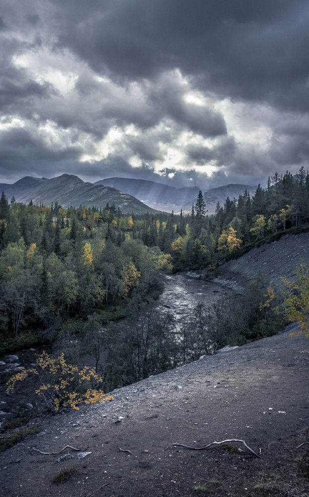 Свет из поднебесья