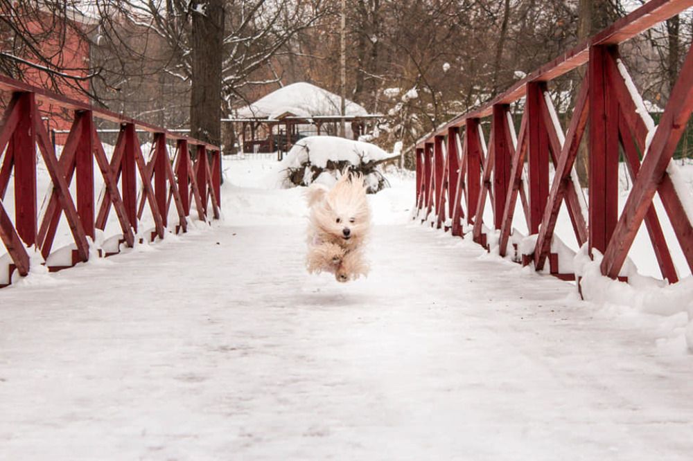 Photograph by Nаtaliia Zolotova