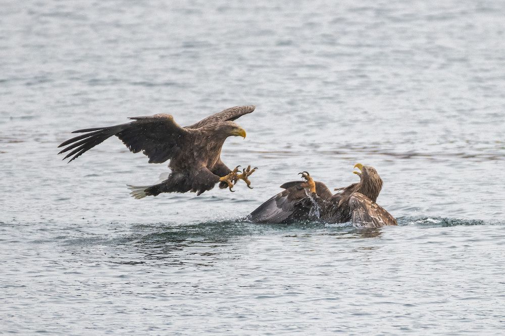 Photograph by Иван Боровков