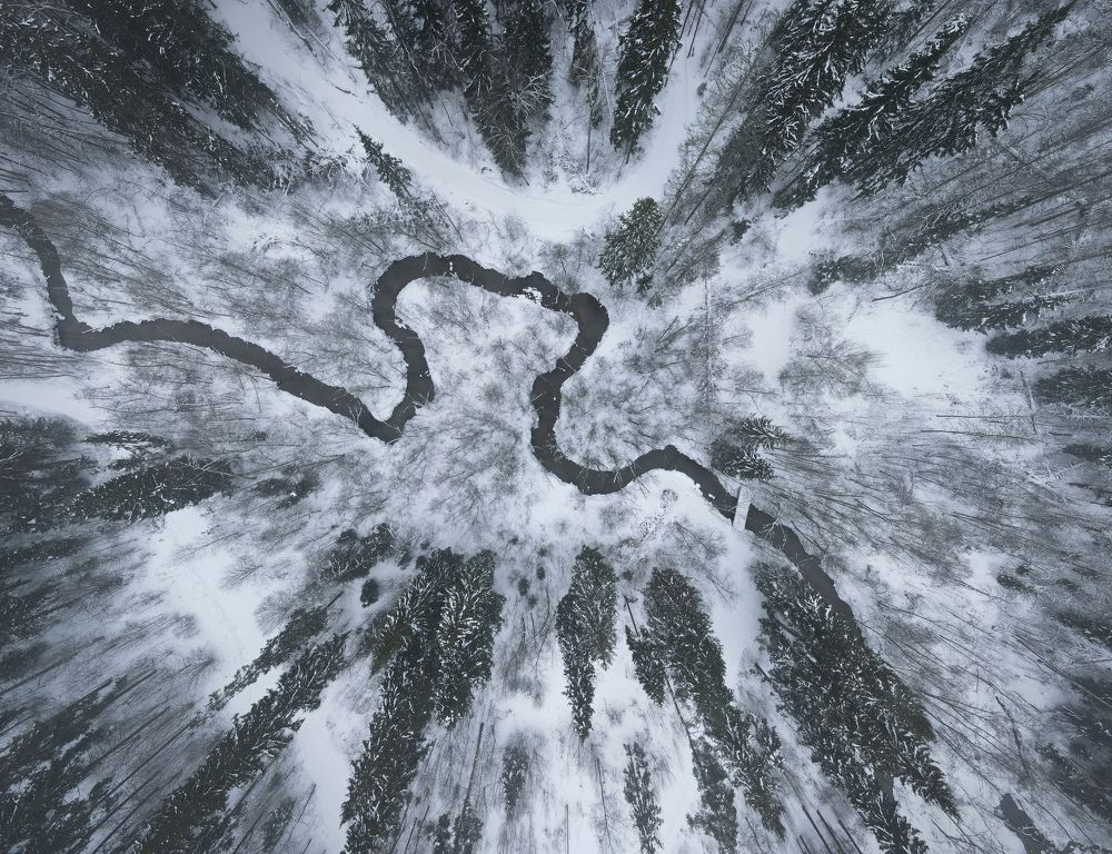 Photograph by Анастасия Юсова