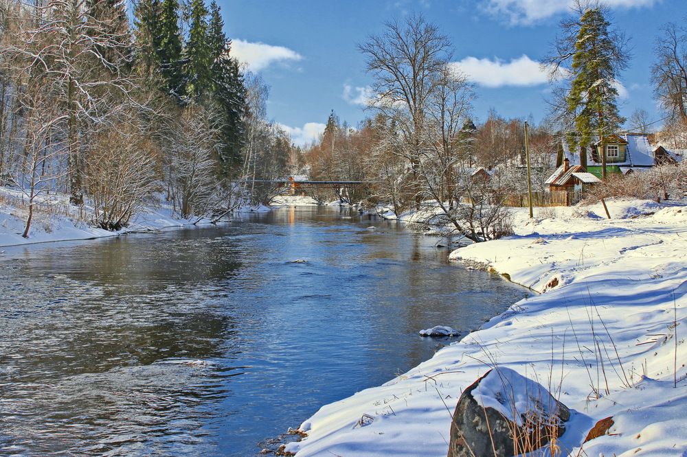 Фотография автора Анатолий Дауров