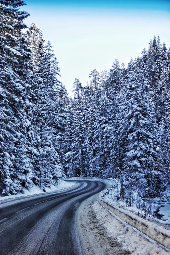 Photograph by Татьяна Запальская