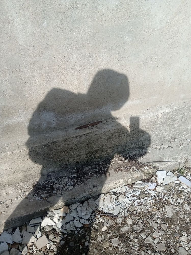 Photo #5787737