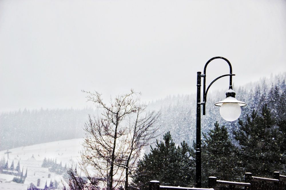 Photograph by Татьяна Запальская