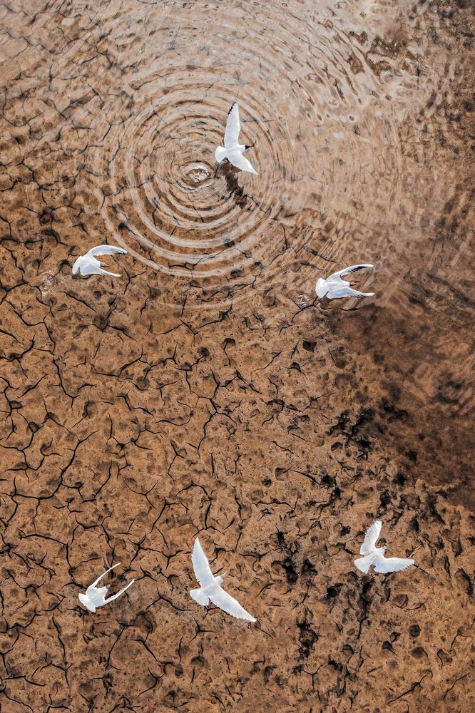 Photograph by Daniel Franc