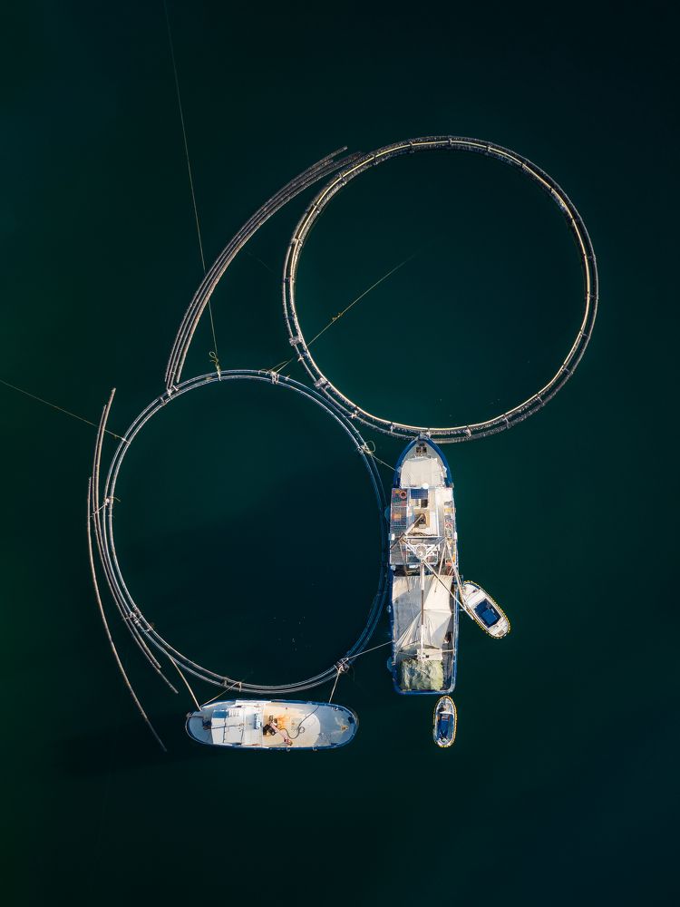 Photograph by Daniel Franc