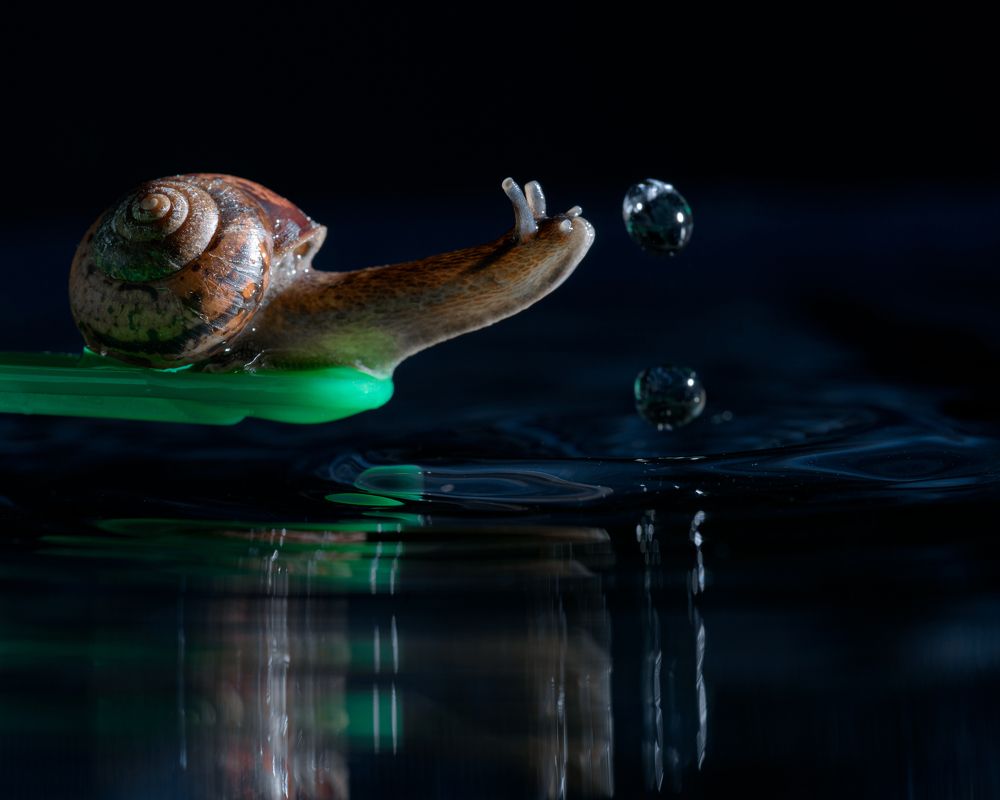 Photograph by Антон Бойков