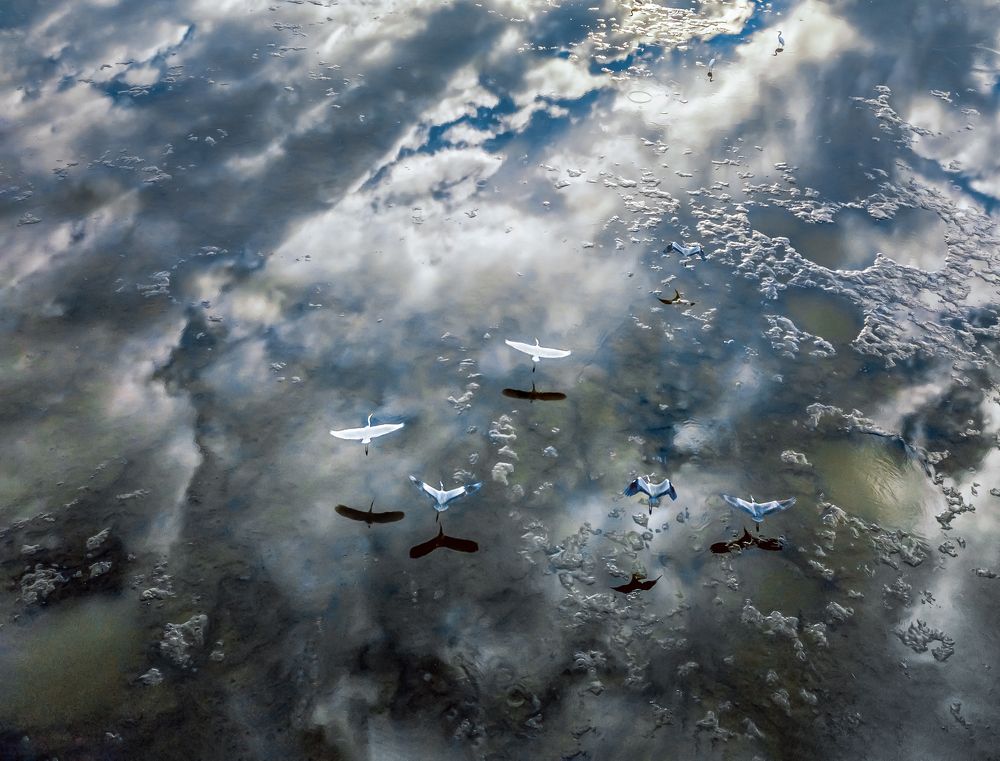 Photograph by Daniel Franc