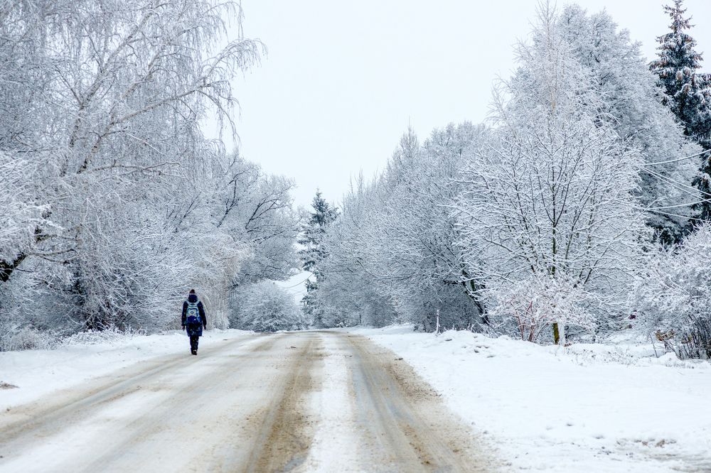 Зима. Дорога.