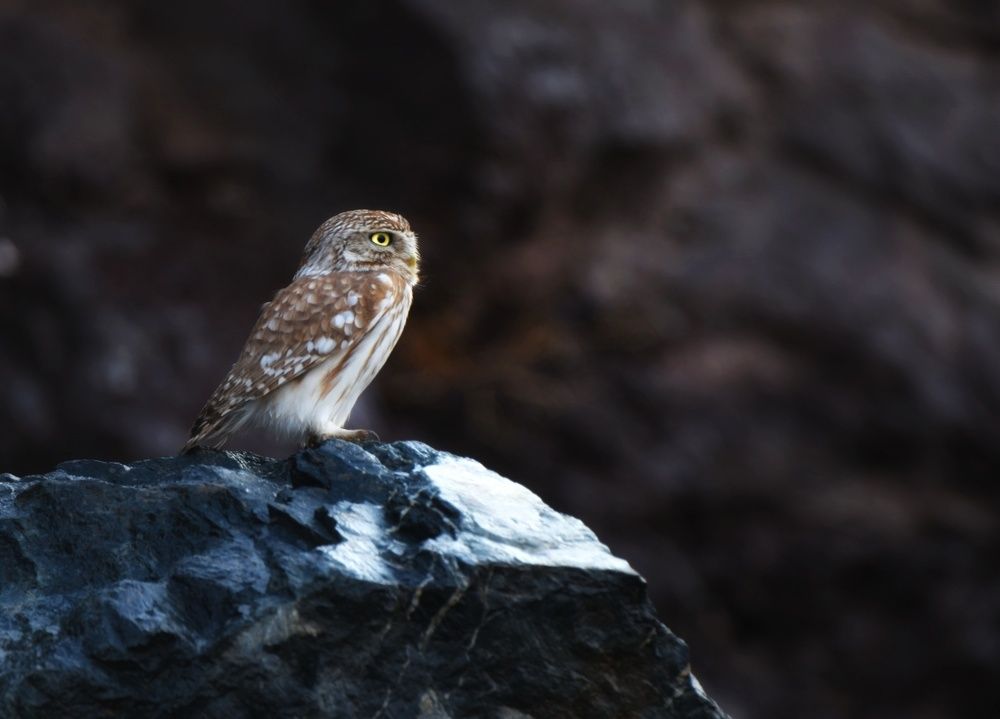 Photograph by faiaq ary