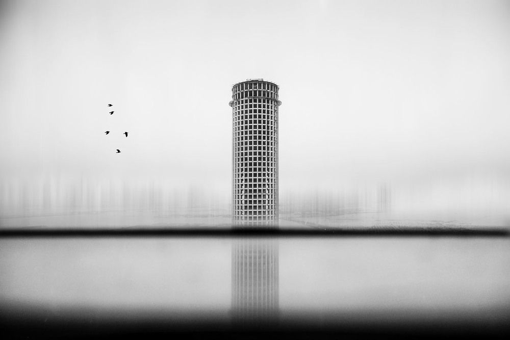 Photograph by Daniyal Arabzadeh