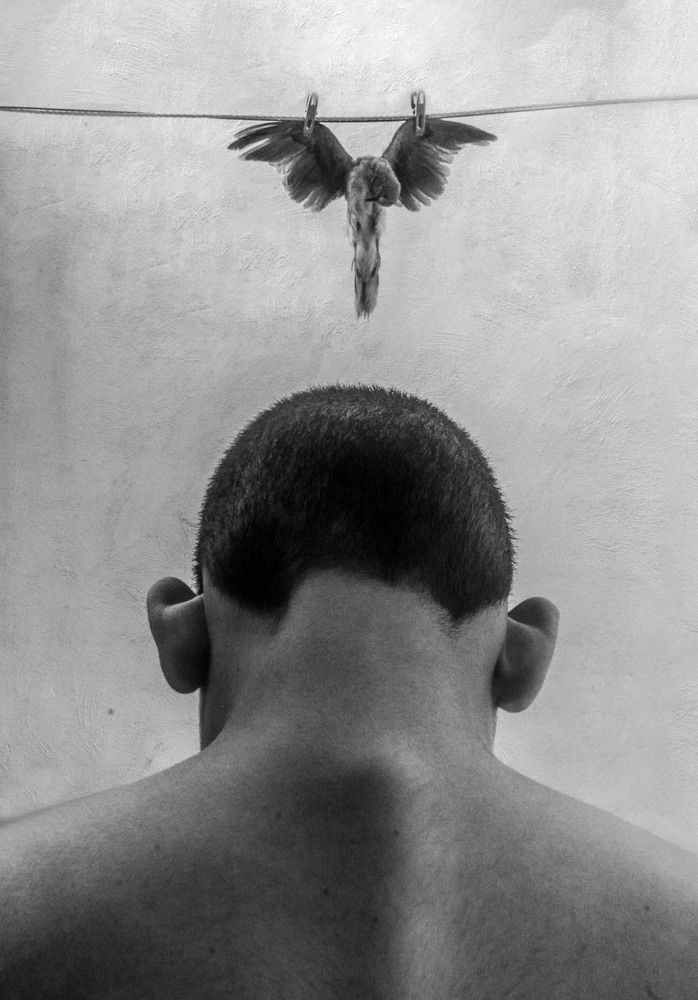 Фотография автора Daniyal Arabzadeh