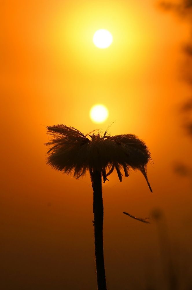 Утром на другой планете