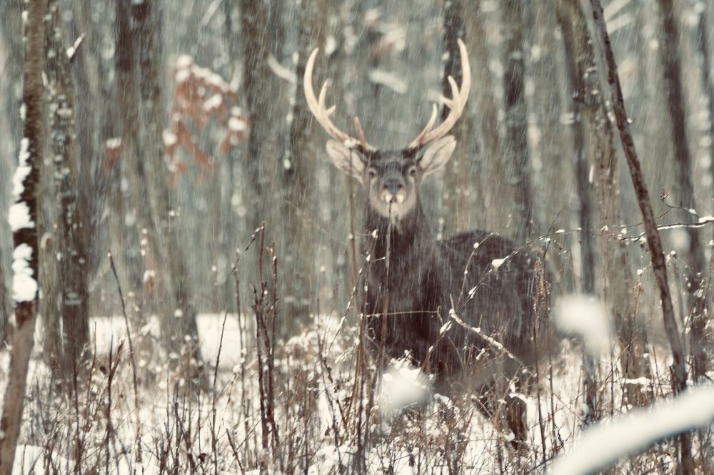 Photograph by Светлана Ткаченко