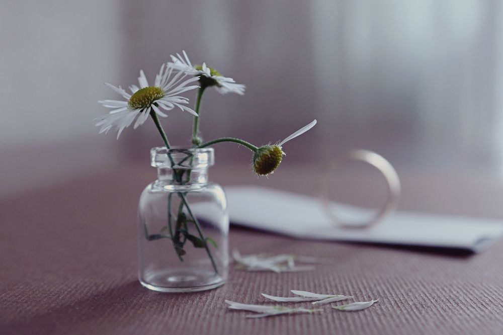 Photograph by Maryna Sydorova