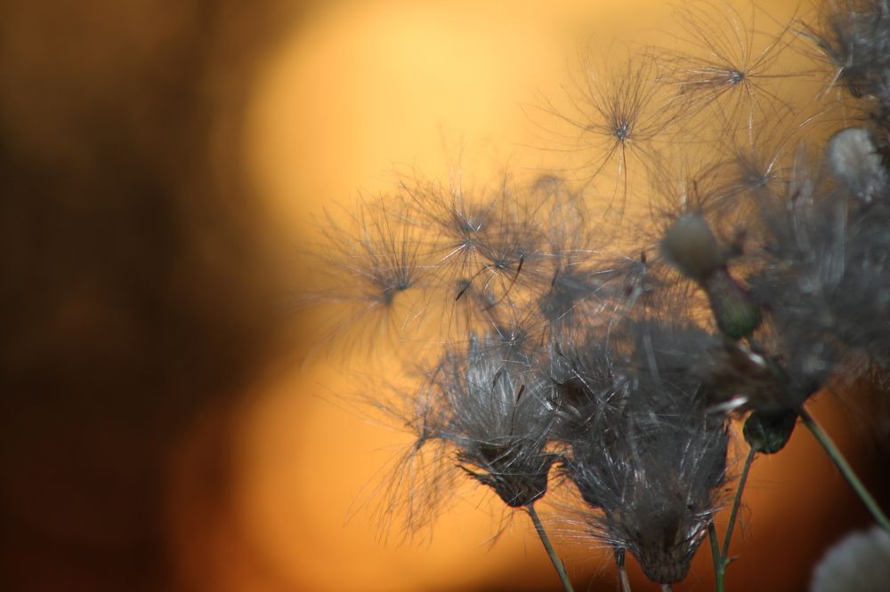 Фотография автора Татьяна Самойлова