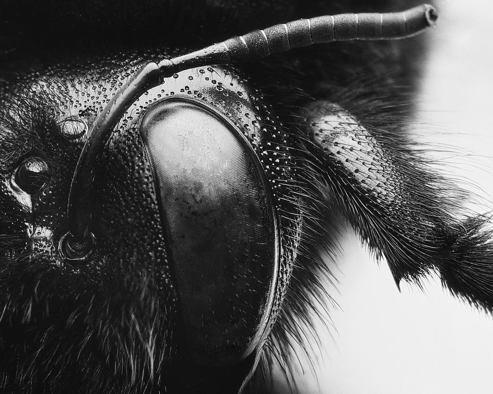 С глазу на глаз