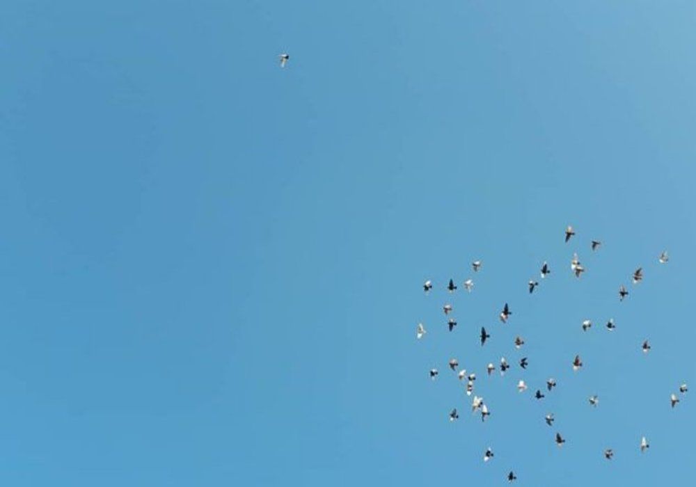 Photograph by reyhaneh zeidabadi